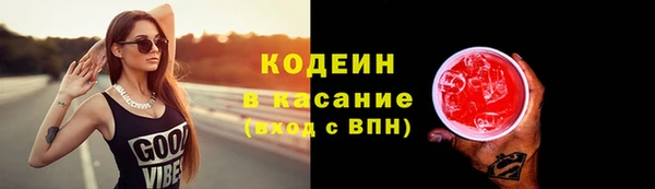индика Балахна