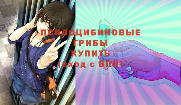 индика Балахна