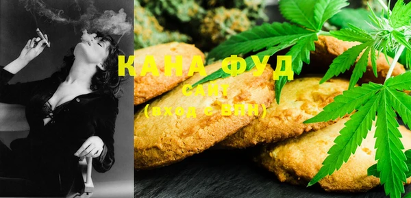 индика Балахна