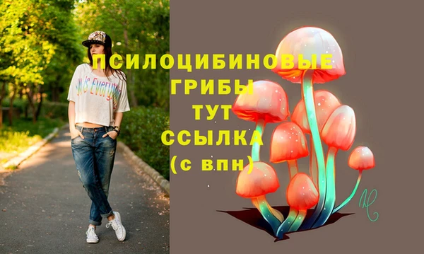 индика Балахна