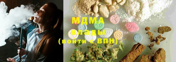 индика Балахна